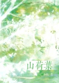 山荷叶(H)