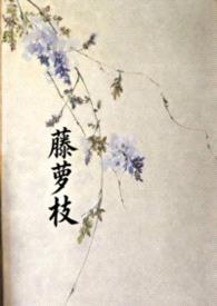 藤萝枝
