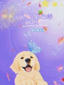 [娱乐圈同人] 对你，我永远都偏爱