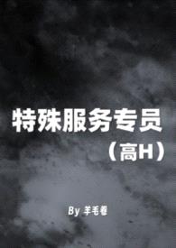特殊服务专员 (高H)