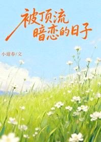 被顶流暗恋的日子