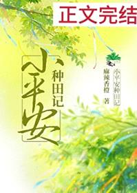 小平安种田记