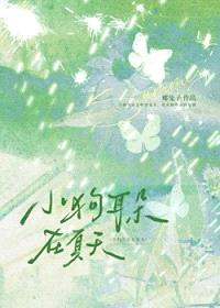 小狗耳朵在夏天
