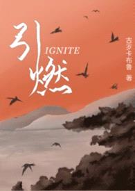 引燃(1v1 年下)