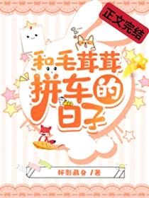 和毛茸茸拼车的日子