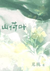 山荷叶（豪门公媳）
