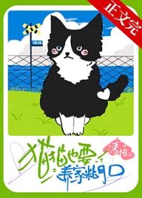 猫猫也要养家糊口