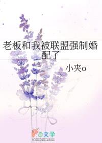 老板和我被联盟强制婚配了