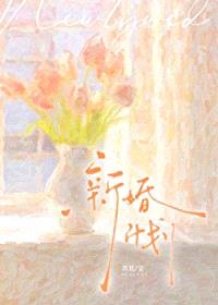 新婚计划
