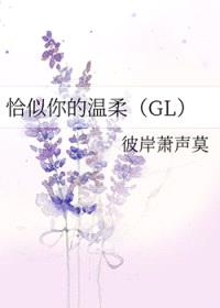恰似你的温柔