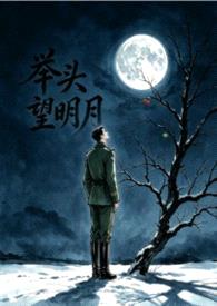 举头望明月