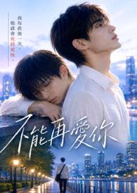 不能再爱你