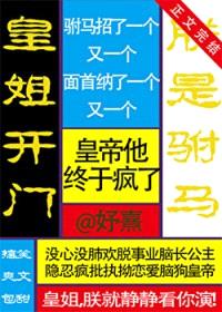 皇姐开门，朕是驸马