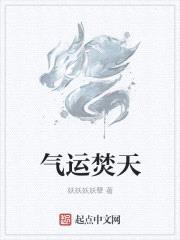 气运焚天